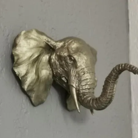 Dom wakacyjny Tahiti Parc Maisonnette Climatisee 6 Pers 2 Le Lavandou