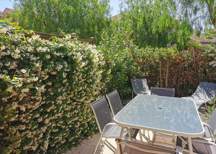 Tahiti Parc Maisonnette Climatisee 6 Pers 2 Feriehus Le Lavandou